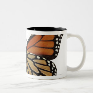 Plexippus Danaus Butterfly Two-Tone Coffee Mug