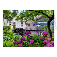 Plimoth Grist Mill at Jenney Pond in Summer