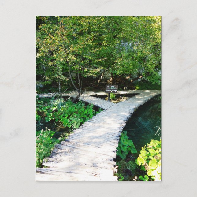 plitvice wooden path, croatia postcard (Front)