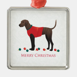 Plott Hound Christmas Metal Ornament