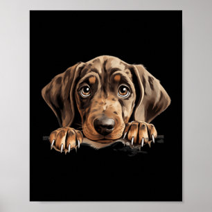 Plott Hound Dog Mum Dad Peeking Puppy Poster