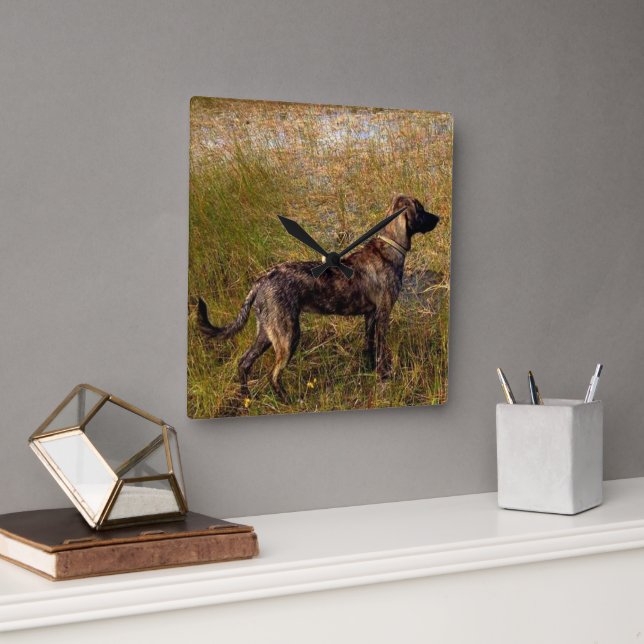 Plott Hound Hunting Dog Wall Clock (Office)