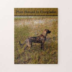 Plott Hound In Everglades Florida Jigsaw Puzzle