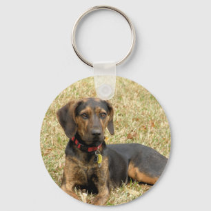 Plott Hound Key Ring