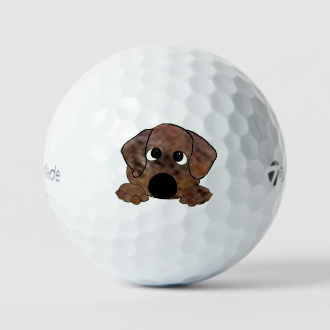 plott hound orange brindle peeking golf balls (Front)