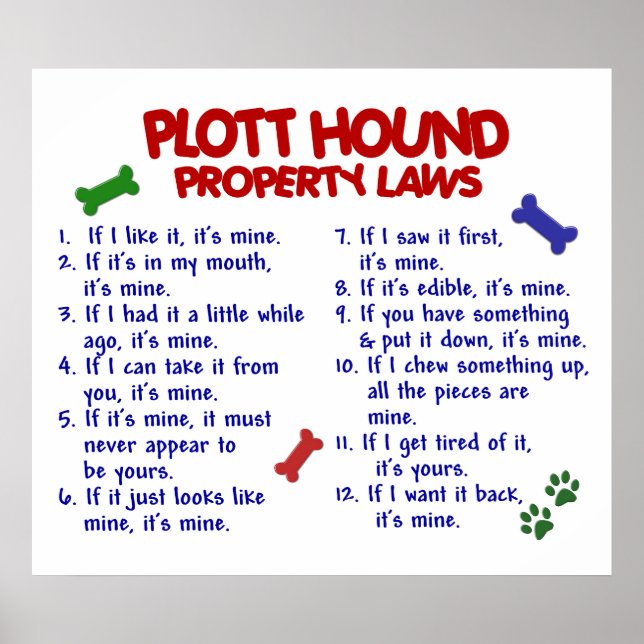PLOTT HOUND PL2 POSTER (Front)