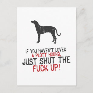 Plott Hound Postcard