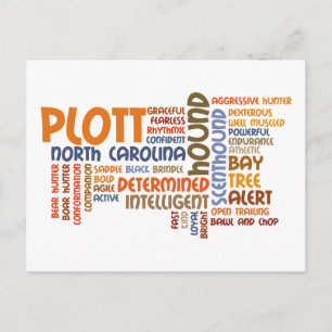 Plott Hound Postcard