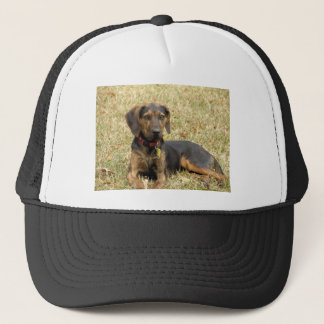 Plott Hound Trucker Hat