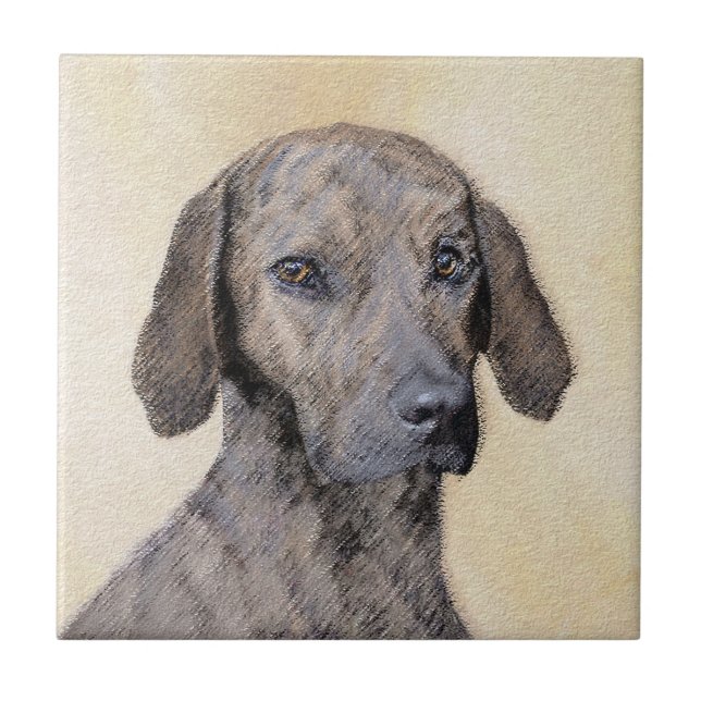 Plott Painting - Cute Original Dog Art Ceramic Tile (Front)
