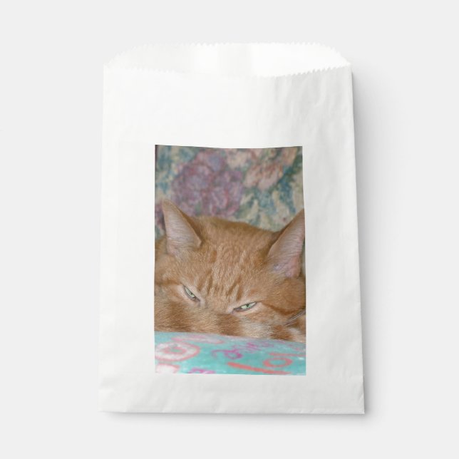 Plotting Favour Bag (Front)