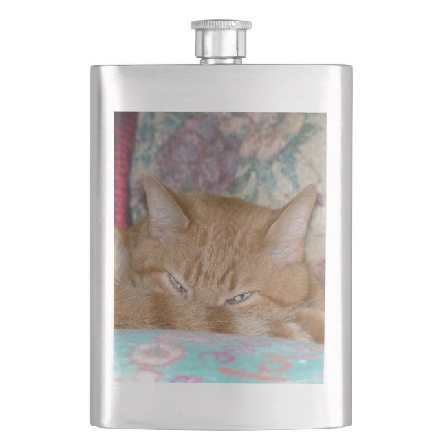 Plotting Hip Flask (Front)