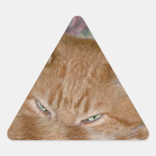 Plotting Triangle Sticker