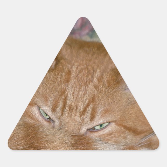Plotting Triangle Sticker (Front)