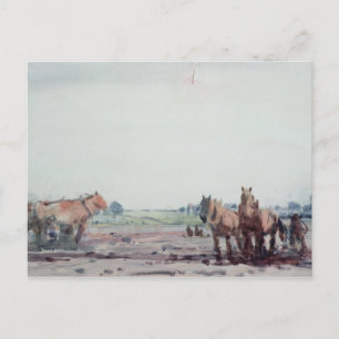 Plough Horses Postcard