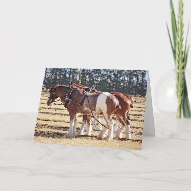 Ploughing Draught Horses in Hitch Thank you Holiday Card (Front)