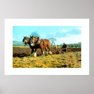 Ploughing Poster