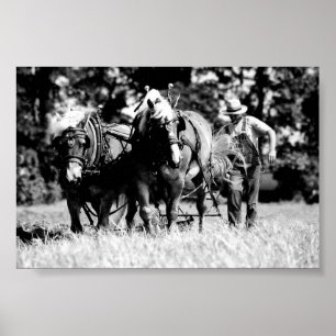 Ploughing Poster