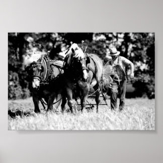 Ploughing Poster