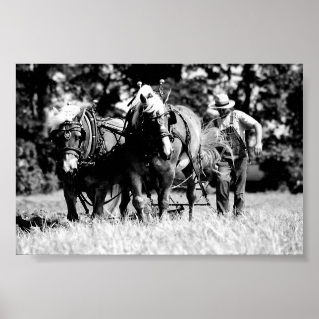 Ploughing Poster (Front)