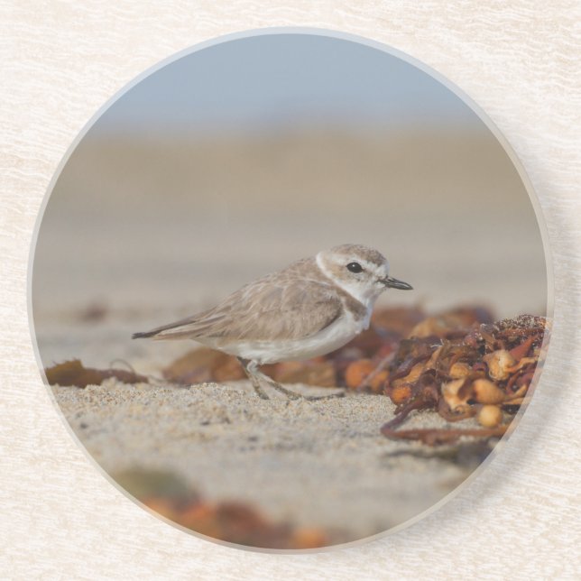 Plover and Seaweed Coaster (Front)