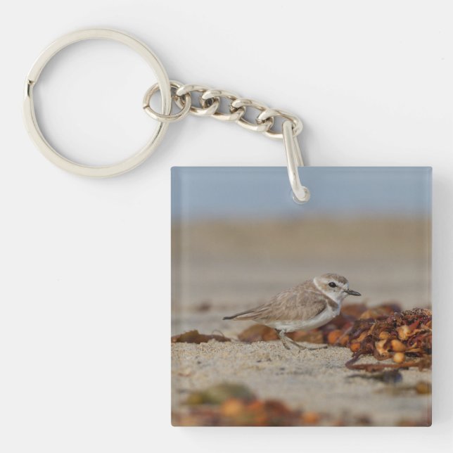 Plover and Seaweed Key Ring (Front)