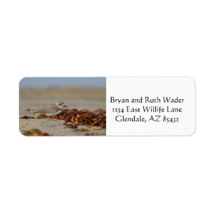 Plover and Seaweed Return Address Label