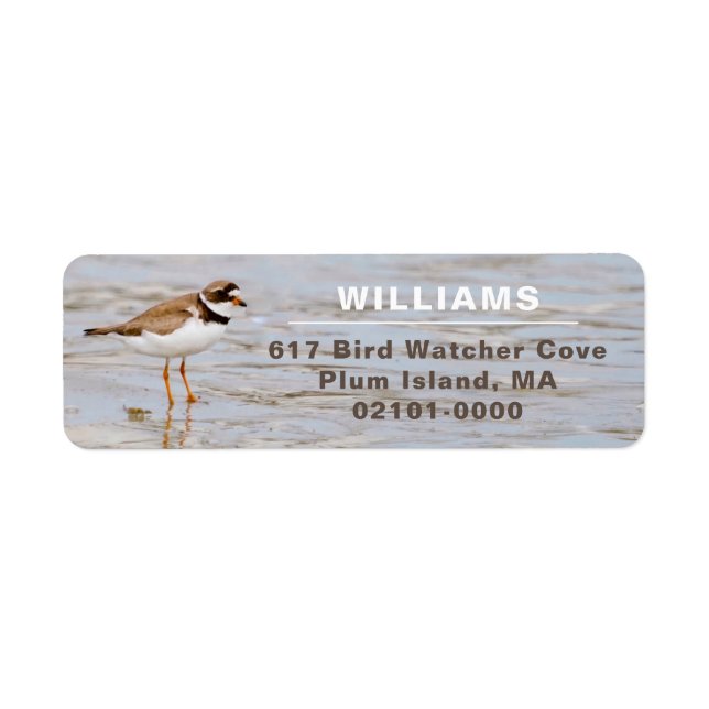 Plover Shore Bird Return Address Return Address Label (Front)
