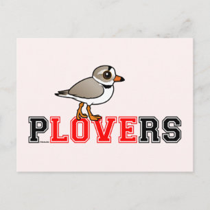 Plovers Love Postcard