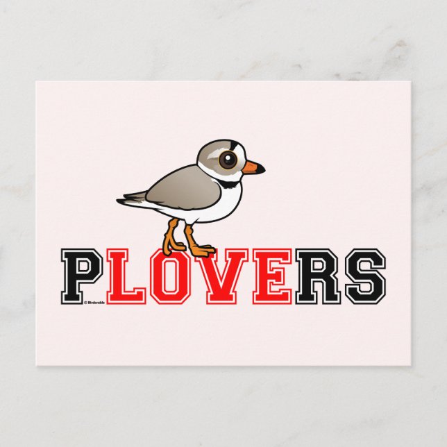 Plovers Love Postcard (Front)