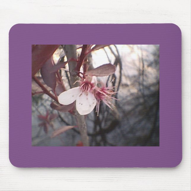 Plum Bloom Mouse Pad (Front)