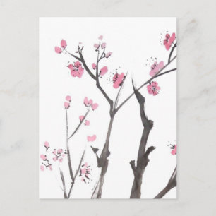 Plum Blossom Branches in Spring Postcard