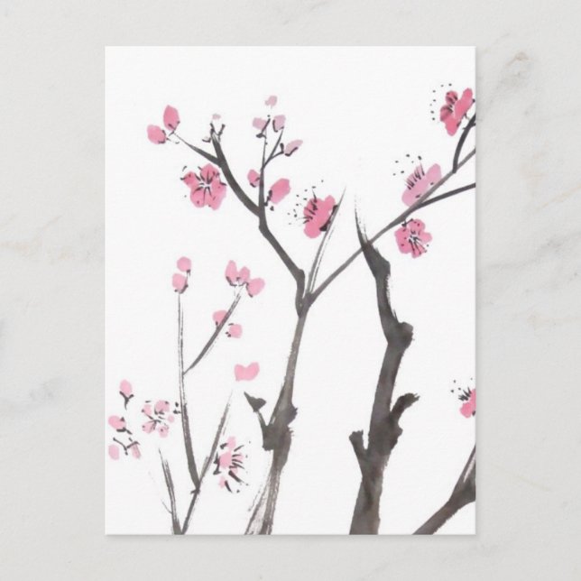 Plum Blossom Branches in Spring Postcard (Front)