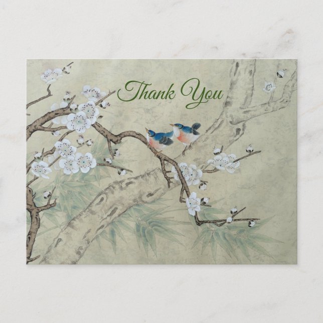 Plum Blossom in Spring Postcard (Front)