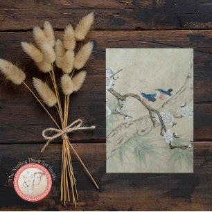 Plum Blossom in Spring Postcard