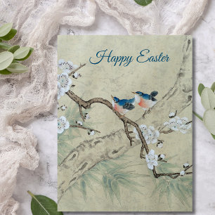 Plum Blossom in Spring Postcard