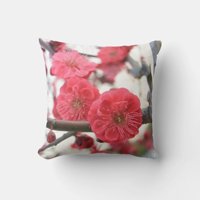 plum blossom spring pink germination cushion (Front)