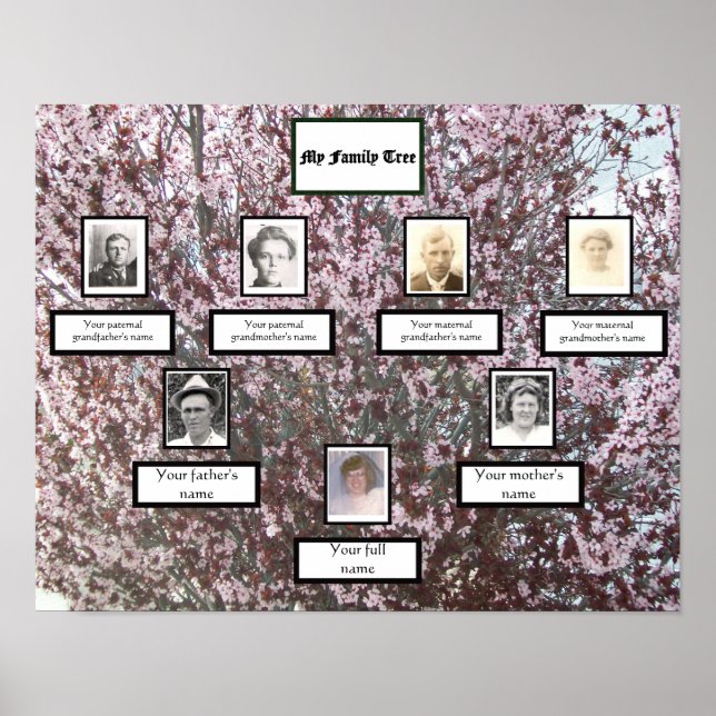 Plum Blossom Three-Generation Photo Family Tree  Poster (Front)