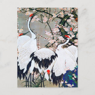 Plum Blossoms and Cranes by Ito Jakuchu Postcard