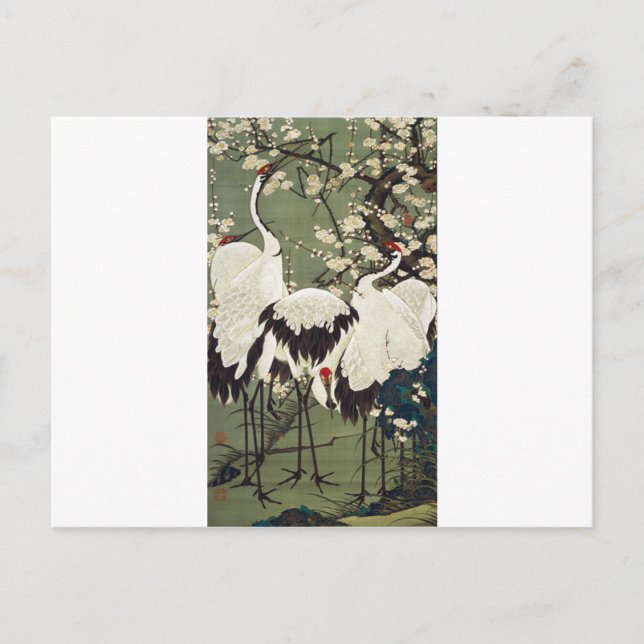 Plum Blossoms and Cranes by Ito Jakuchu Postcard (Front)