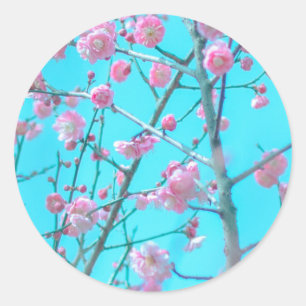 Plum Blossoms (Suzhou, China) Classic Round Sticker
