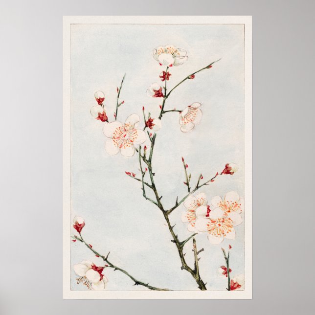 Plum Branches with Blossoms by Megata Morikaga Poster (Front)
