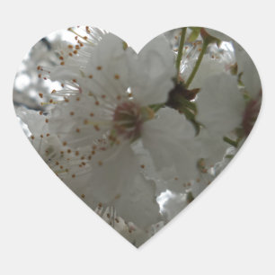 Plum Flower Heart Sticker