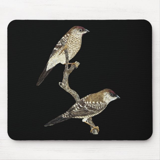 Plum-headed Finch Pair - Neochmia modesta Mouse Pad (Front)