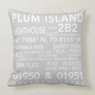 Plum Island Massachusetts Pillow