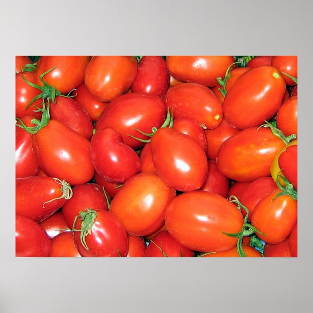 Plum Tomatoes Poster (Front)