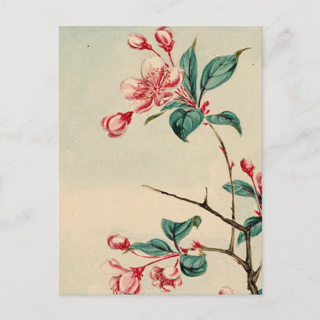 Plum tree blossoms 2012 Calendar Postcard (Front)