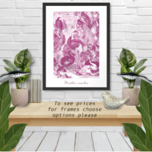 Plum Vintage Ostrich Illustration Struthio camelus Poster