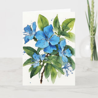 Plumbago Auriculata - Watercolor flowers Card