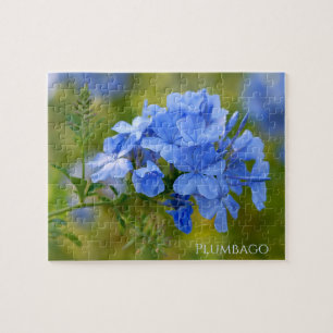 Plumbago - Blue Summer Flowers Floral Photography Jigsaw Puzzle